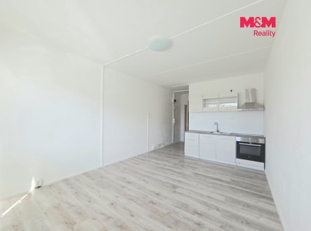 Pronájem bytu, 1+kk, 20 m²