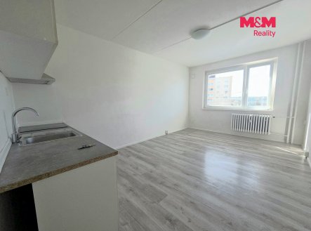 Pronájem bytu, 1+kk, 20 m²
