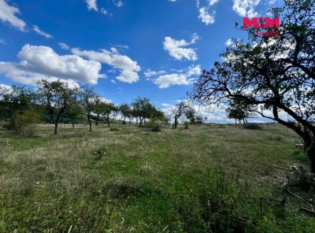 Prodej pozemku, zemědělská půda, 5 926 m²