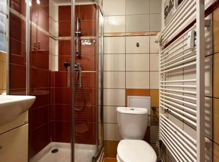 Pronájem bytu, 1+1, 30 m²
