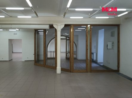 Pronájem obchodní prostory, 695 m²