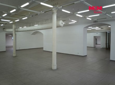 Pronájem obchodní prostory, 695 m²