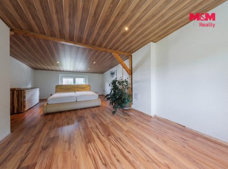 Prodej domu/vily, 300 m²