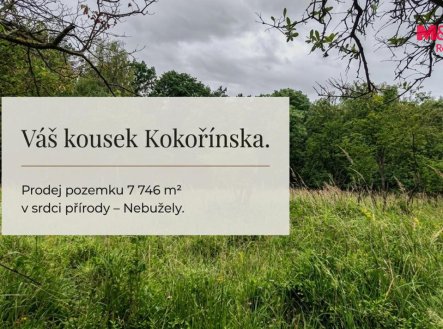 Prodej pozemku, zemědělská půda, 7 746 m²