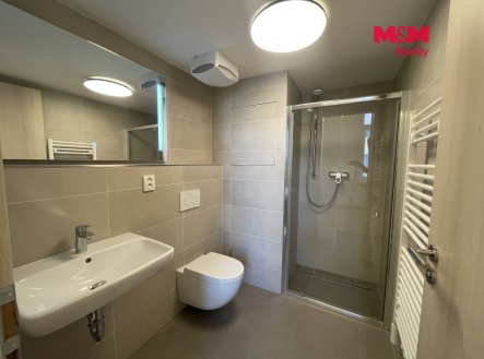 Pronájem bytu, 1+kk, 30 m²