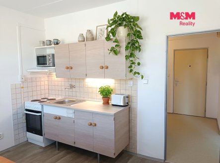 Pronájem bytu, 1+1, 41 m²