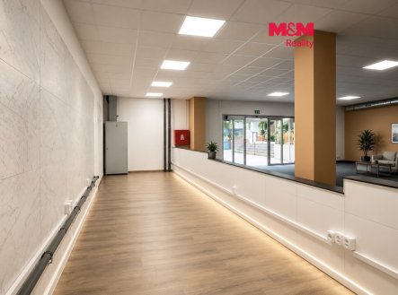 Pronájem kanceláře, 291 m²