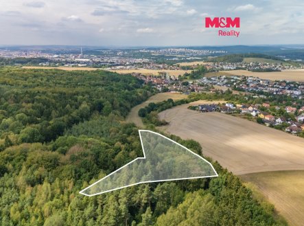 Prodej pozemku, les, 6 522 m²