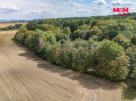 Prodej pozemku, les, 6 522 m²