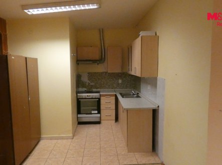 Pronájem bytu, 1+kk, 45 m²