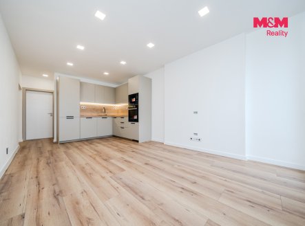Prodej bytu, 3+kk, 66 m²