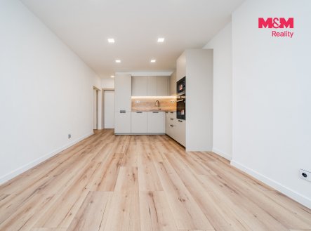 Prodej bytu, 3+kk, 66 m²