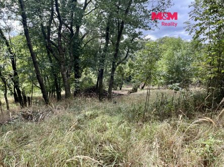 Prodej pozemku pro bydlení, 2 037 m²