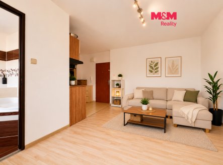 Pronájem bytu, 1+kk, 28 m²