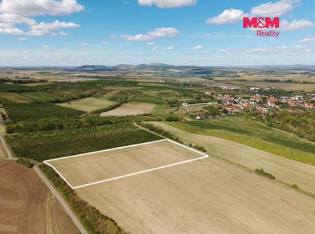 Prodej pozemku, zemědělská půda, 9 598 m²