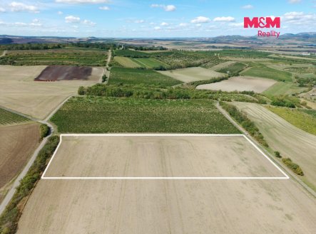 Prodej pozemku, zemědělská půda, 9 598 m²