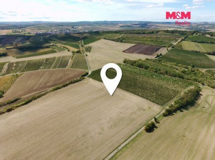 Prodej pozemku, zemědělská půda, 9 598 m²