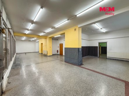 Pronájem obchodní prostory, 193 m²