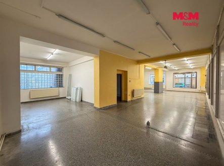 Pronájem obchodní prostory, 193 m²