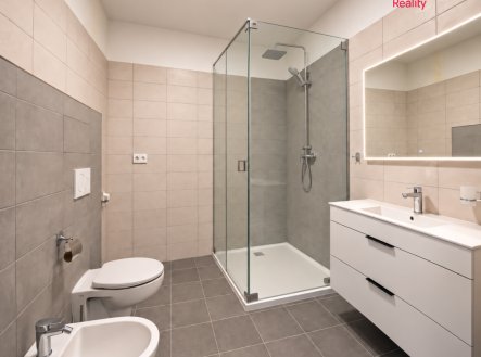 Pronájem bytu, 2+kk, 55 m²