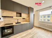 Pronájem bytu, 1+1, 41 m²