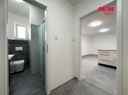 Pronájem bytu, 1+kk, 35 m²
