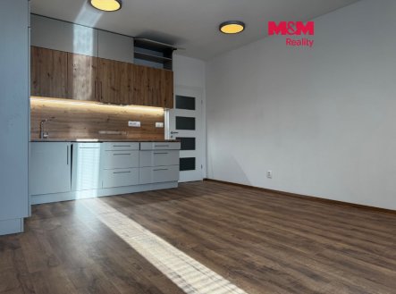 Pronájem bytu, 1+kk, 43 m²