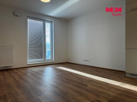 Pronájem bytu, 1+kk, 43 m²