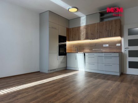 Pronájem bytu, 1+kk, 43 m²
