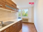 Pronájem bytu, 2+1, 55 m²