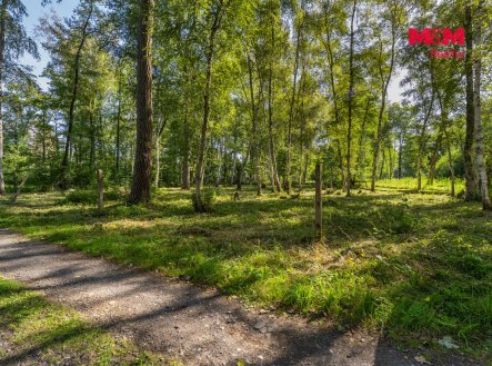 Prodej pozemku pro bydlení, 3 825 m²