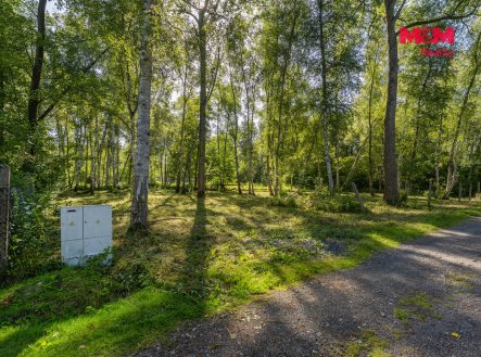 Prodej pozemku pro bydlení, 3 825 m²