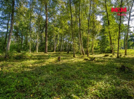 Prodej pozemku pro bydlení, 3 825 m²