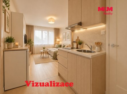 Prodej bytu, 1+kk, 18 m²