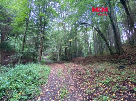 Prodej pozemku, trvalý travní porost, 2 261 m²