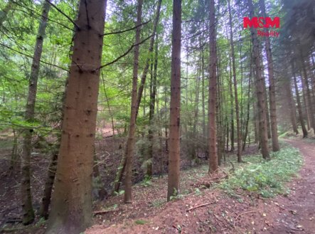 Prodej pozemku, trvalý travní porost, 2 261 m²