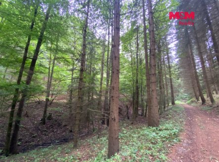 Prodej pozemku, trvalý travní porost, 2 261 m²