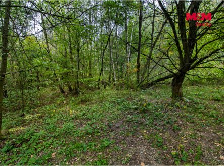 Prodej pozemku, zemědělská půda, 51 974 m²