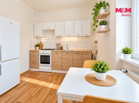 Pronájem bytu, 1+1, 48 m²