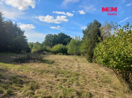 Prodej pozemku pro bydlení, 3 000 m²