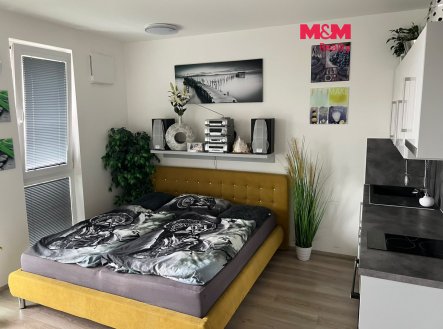 Prodej bytu, 1+kk, 42 m²