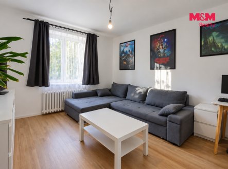 Pronájem bytu, 1+1, 28 m²