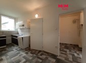 Pronájem bytu, 1+1, 48 m²