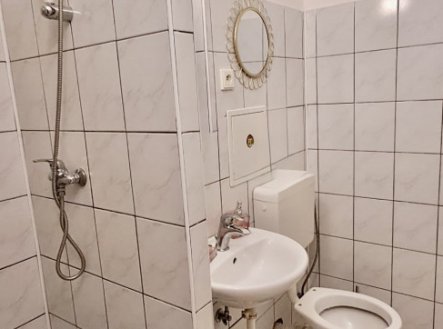 Pronájem bytu, 1+kk, 19 m²
