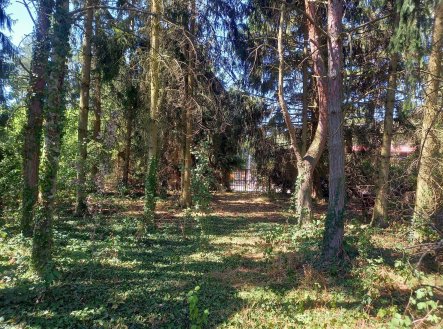 Prodej chaty/rekreačního objektu, 90 m²