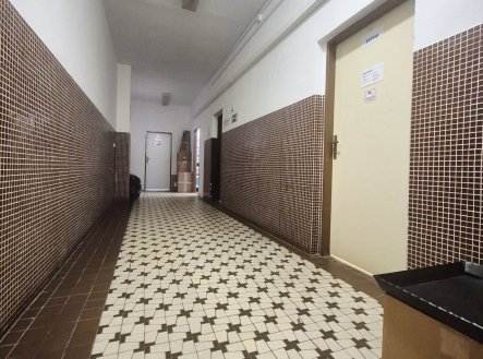 Pronájem kanceláře, 225 m²