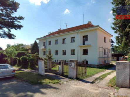 Pronájem