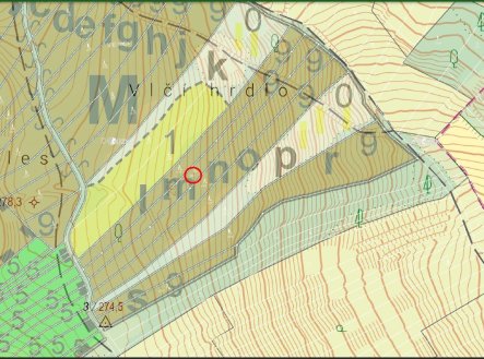 Prodej pozemku, les, 2 800 m²