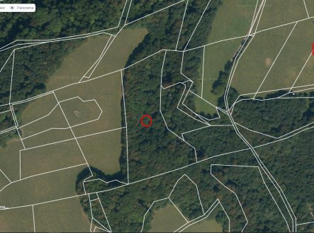 Prodej pozemku, les, 12 739 m²