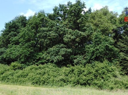 Prodej pozemku, les, 9 268 m² obrázek